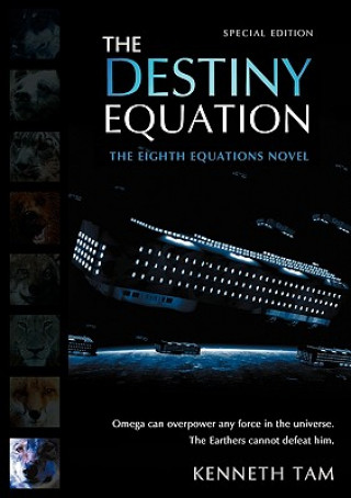 Kniha Destiny Equation Kenneth Tam