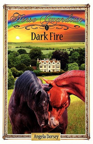 Kniha Dark Fire Angela Dorsey