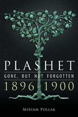 Book Plashet - Gone, But Not Forgotten Miriam Pollak