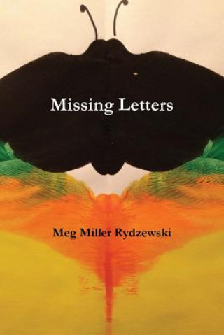 Książka Missing Letters Meg Miller Rydzewski