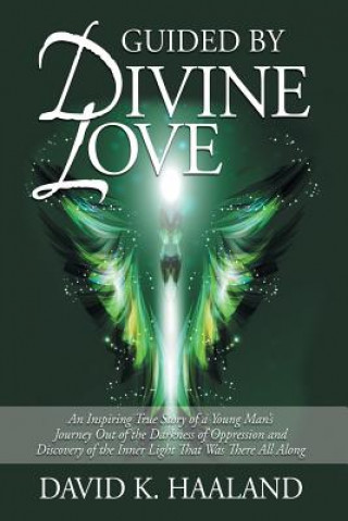 Buch Guided by Divine Love David K Haaland