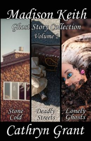 Kniha Madison Keith Ghost Story Collection - Volume 2 (Suburban Noir Ghost Stories) Cathryn Grant