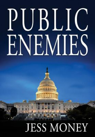 Buch Public Enemies Jess Money