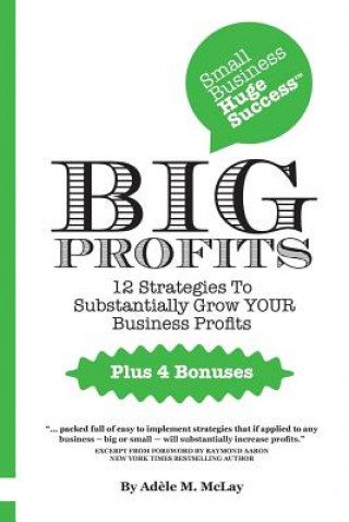 Kniha Small Business Huge Success - Big Profits! Adele M. McLay