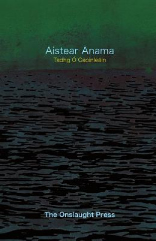 Книга Aistear Anama Tadhg O Caoinleain