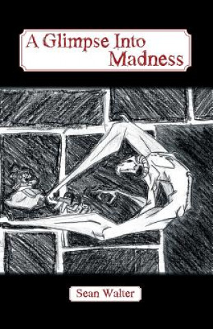 Kniha Glimpse Into Madness Sean Walter