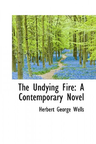 Könyv Undying Fire H G Wells