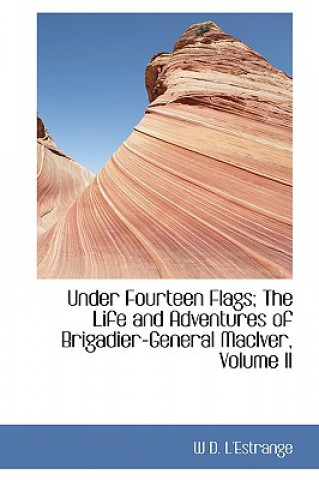 Книга Under Fourteen Flags; The Life and Adventures of Brigadier-General Maciver, Volume II W D L'Estrange