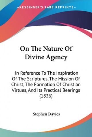 Kniha On The Nature Of Divine Agency Stephen Davies