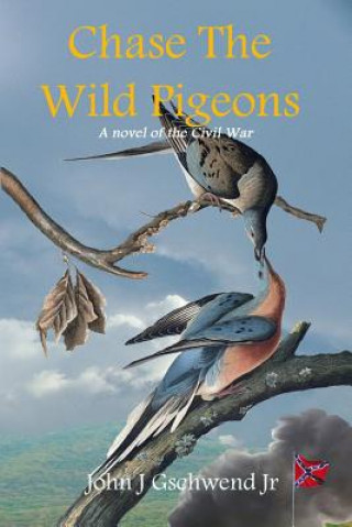 Carte Chase the Wild Pigeons John Gschwend