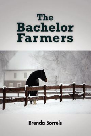 Kniha Bachelor Farmers Brenda Sorrels