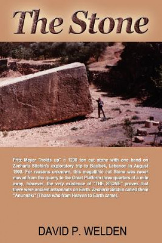 Knjiga Stone David P Welden