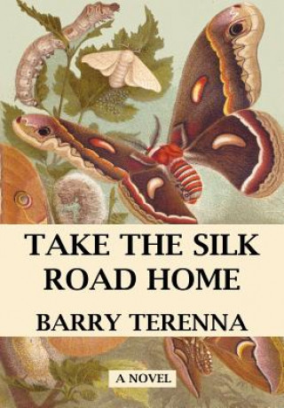 Kniha Take the Silk Road Home Barry Terenna