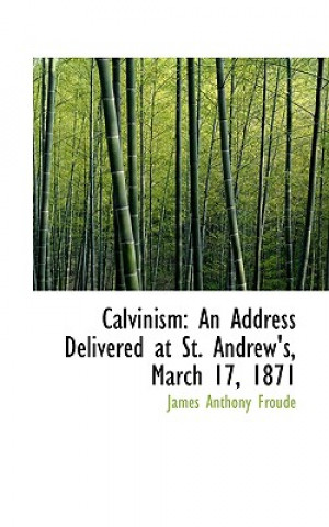 Książka Calvinism James Anthony Froude