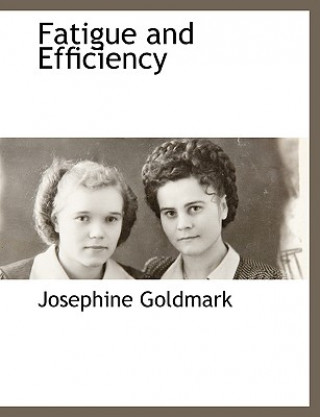 Könyv Fatigue and Efficiency Josephine Goldmark