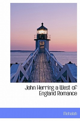 Könyv John Herring a West of England Romance Mehalah