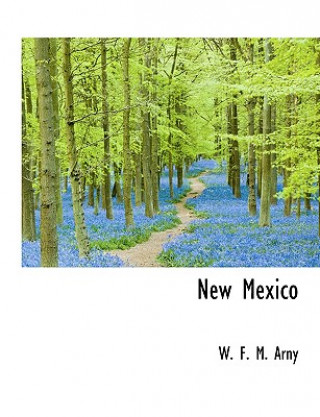 Knjiga New Mexico W F M Arny