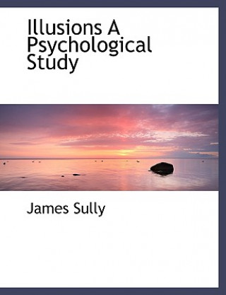 Buch Illusions a Psychological Study James Sully