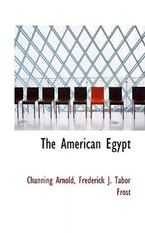 Carte American Egypt Frederick J Tabor Frost