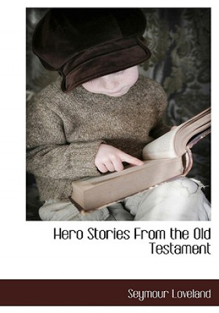 Buch Hero Stories from the Old Testament Seymour Loveland