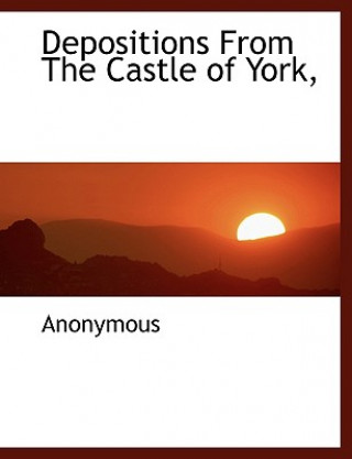 Kniha Depositions from the Castle of York, Anonymous