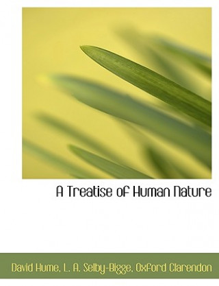 Book Treatise of Human Nature L. A. Selby-Bigge