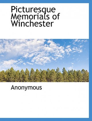 Livre Picturesque Memorials of Winchester Anonymous