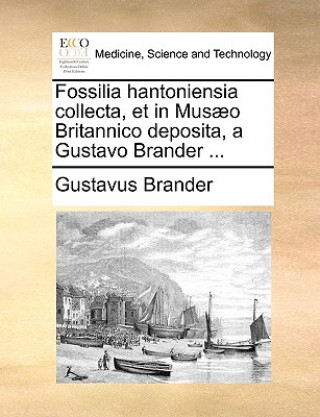 Книга Fossilia Hantoniensia Collecta, Et in Musaeo Britannico Deposita, a Gustavo Brander ... Gustavus Brander