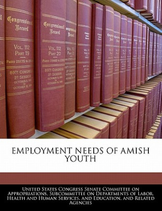 Książka EMPLOYMENT NEEDS OF AMISH YOUTH 