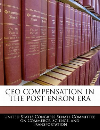 Kniha CEO COMPENSATION IN THE POST-ENRON ERA 