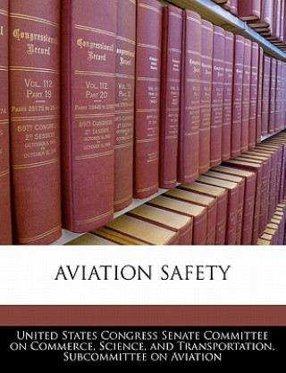 Buch AVIATION SAFETY 