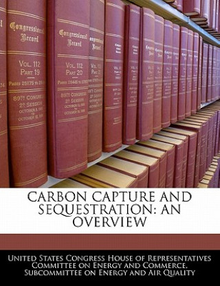 Kniha CARBON CAPTURE AND SEQUESTRATION: AN OVERVIEW 