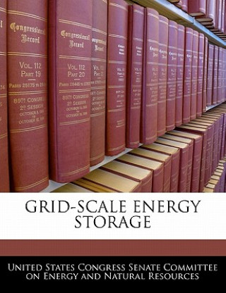 Kniha GRID-SCALE ENERGY STORAGE 