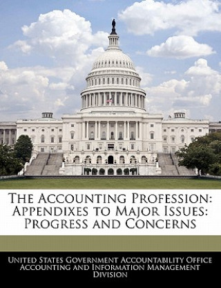 Книга The Accounting Profession: Appendixes to Major Issues: Progress and Concerns 