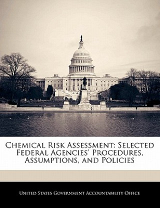 Kniha Chemical Risk Assessment: Selected Federal Agencies' Procedures, Assumptions, and Policies 