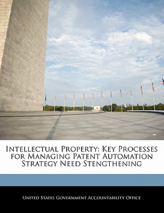 Książka Intellectual Property: Key Processes for Managing Patent Automation Strategy Need Stengthening 