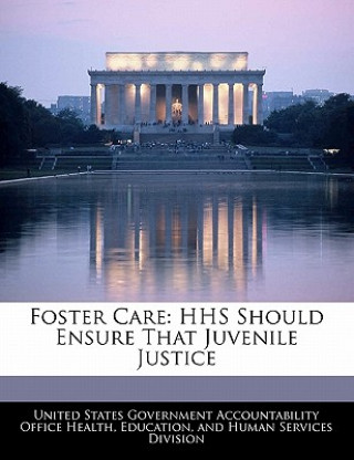 Kniha Foster Care: HHS Should Ensure That Juvenile Justice 
