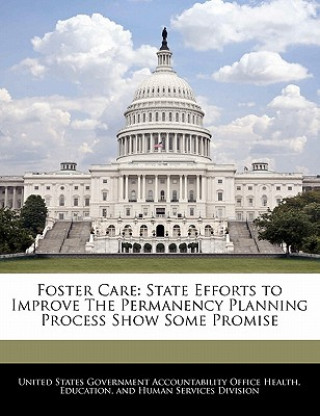 Könyv Foster Care: State Efforts to Improve The Permanency Planning Process Show Some Promise 
