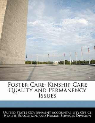 Könyv Foster Care: Kinship Care Quality and Permanency Issues 