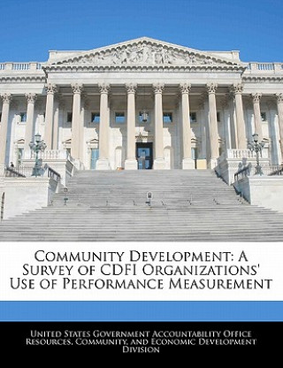 Carte Community Development: A Survey of CDFI Organizations' Use of Performance Measurement 