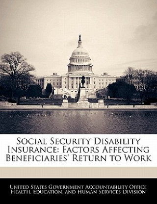 Kniha Social Security Disability Insurance: Factors Affecting Beneficiaries' Return to Work 