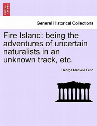 Book Fire Island George Manville Fenn