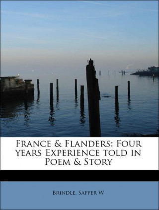 Kniha France & Flanders Brindle Sapper W