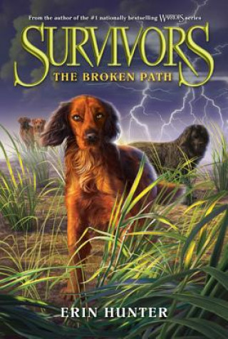 Kniha Survivors: The Broken Path. Survivor Dogs. Die finstere Gefährtin, englische Ausgabe Erin Hunter