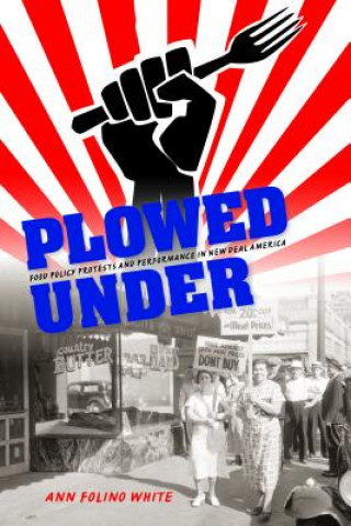 Knjiga Plowed Under Ann Folino White