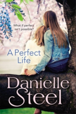 Kniha Perfect Life Danielle Steel