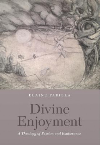 Книга Divine Enjoyment Elaine Padilla