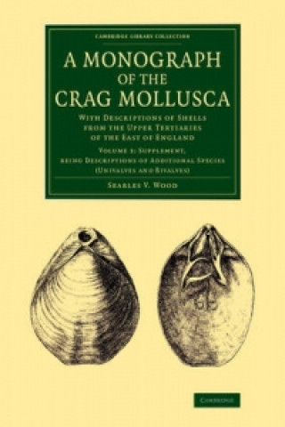 Kniha Monograph of the Crag Mollusca Searles V Wood