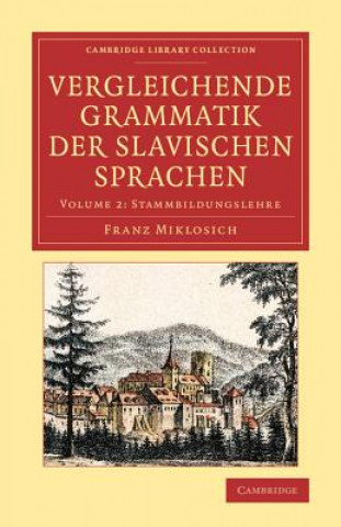 Kniha Vergleichende Grammatik der slavischen Sprachen Franz Miklosich