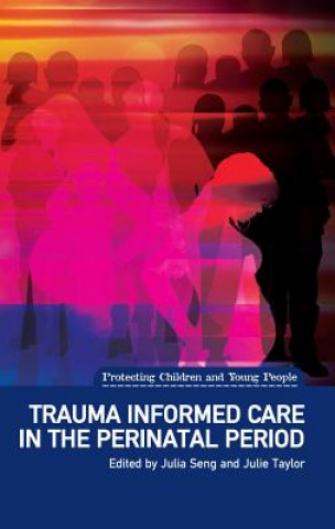 Kniha Trauma Informed Care in the Perinatal Period Julia Seng